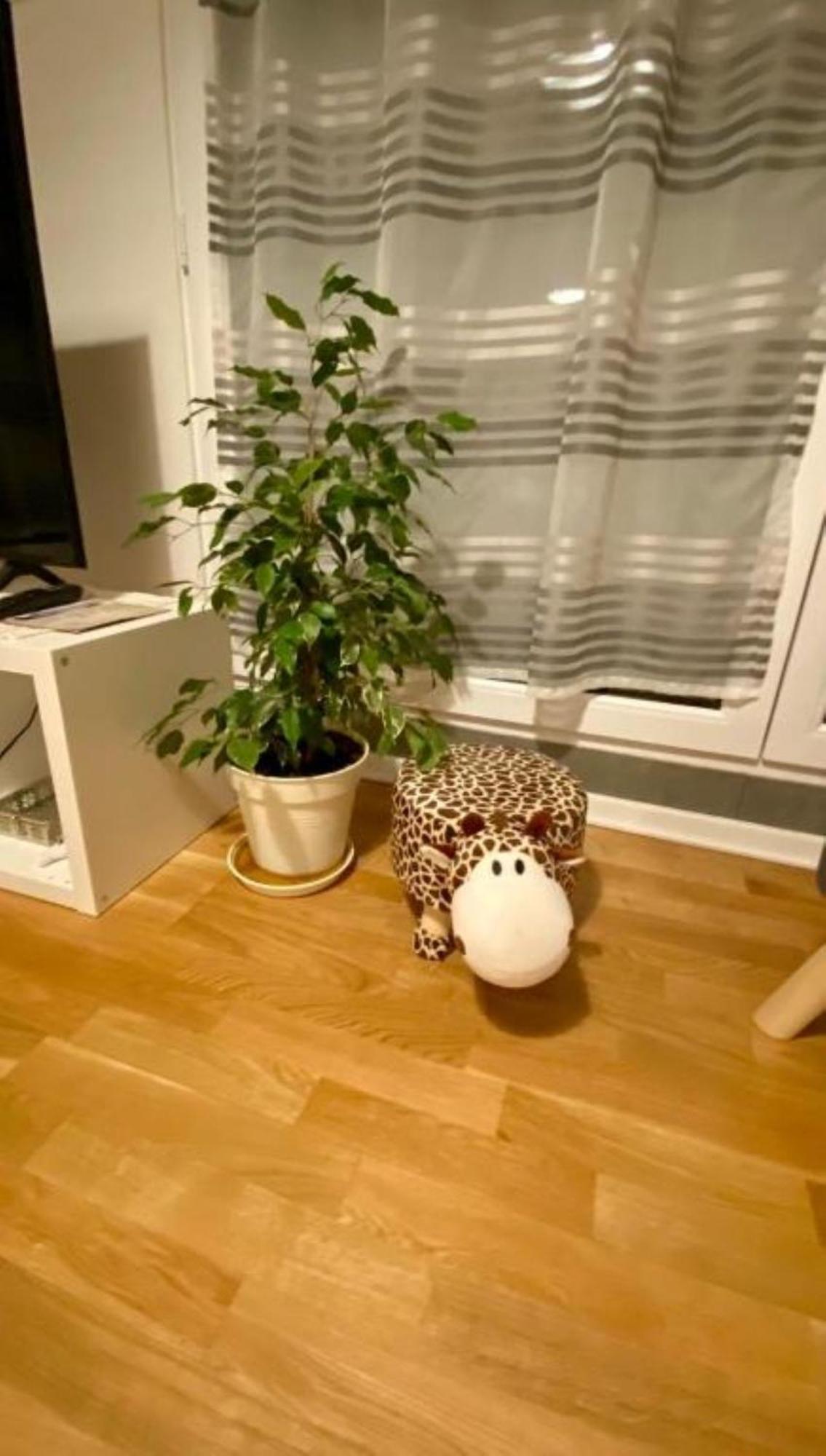 Schoenes Erwachen Im Frankfurter Penthouse Frankfurt am Main Dış mekan fotoğraf